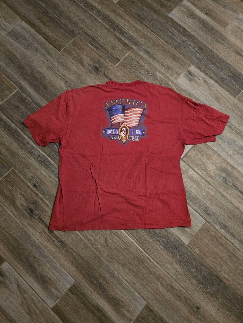 Vintage 2001 Big Dogs America T Shirt Home Of The Big Land Of The Free